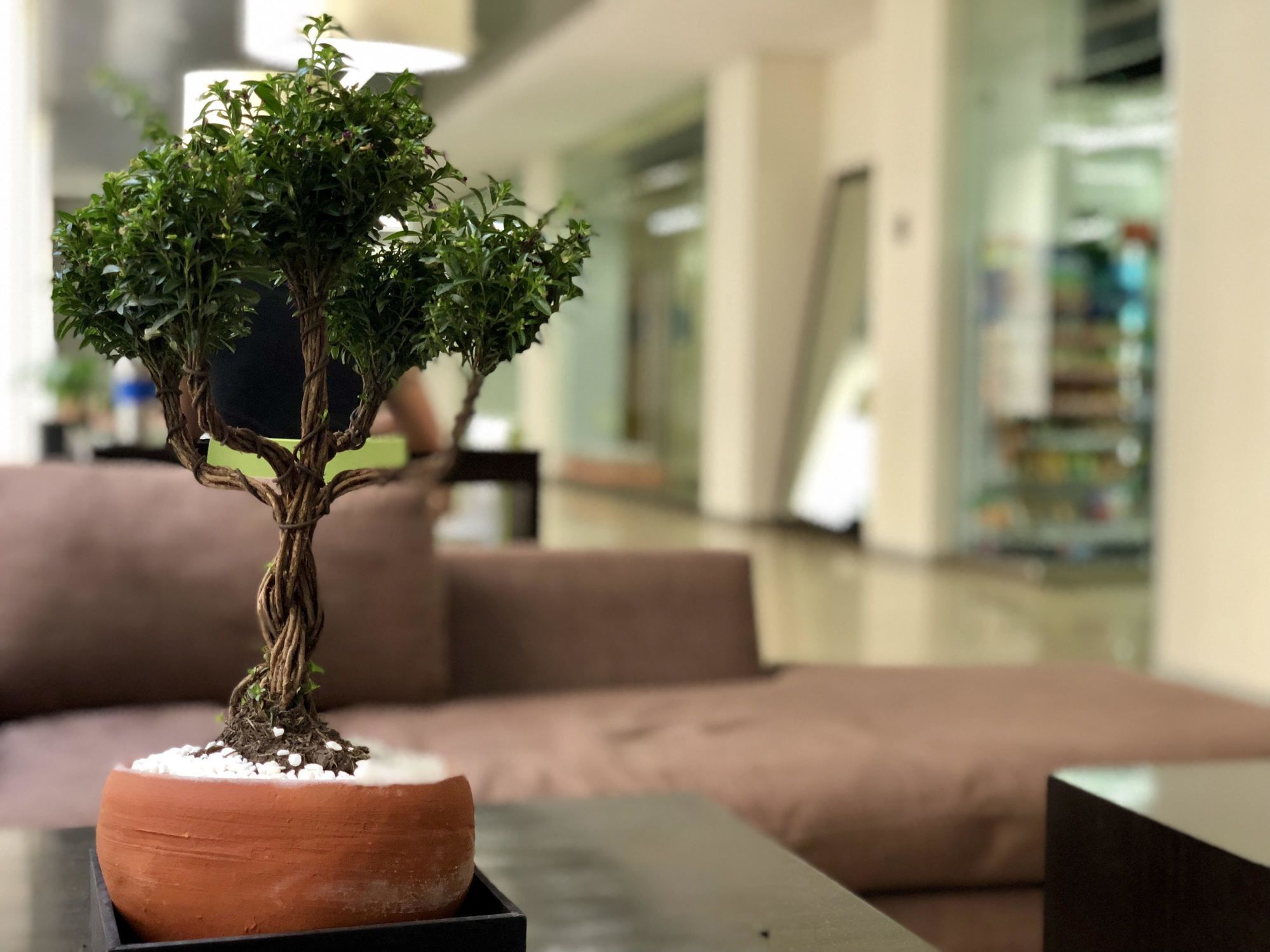 Boutique Apartment Pbk 墨西哥城 外观 照片
