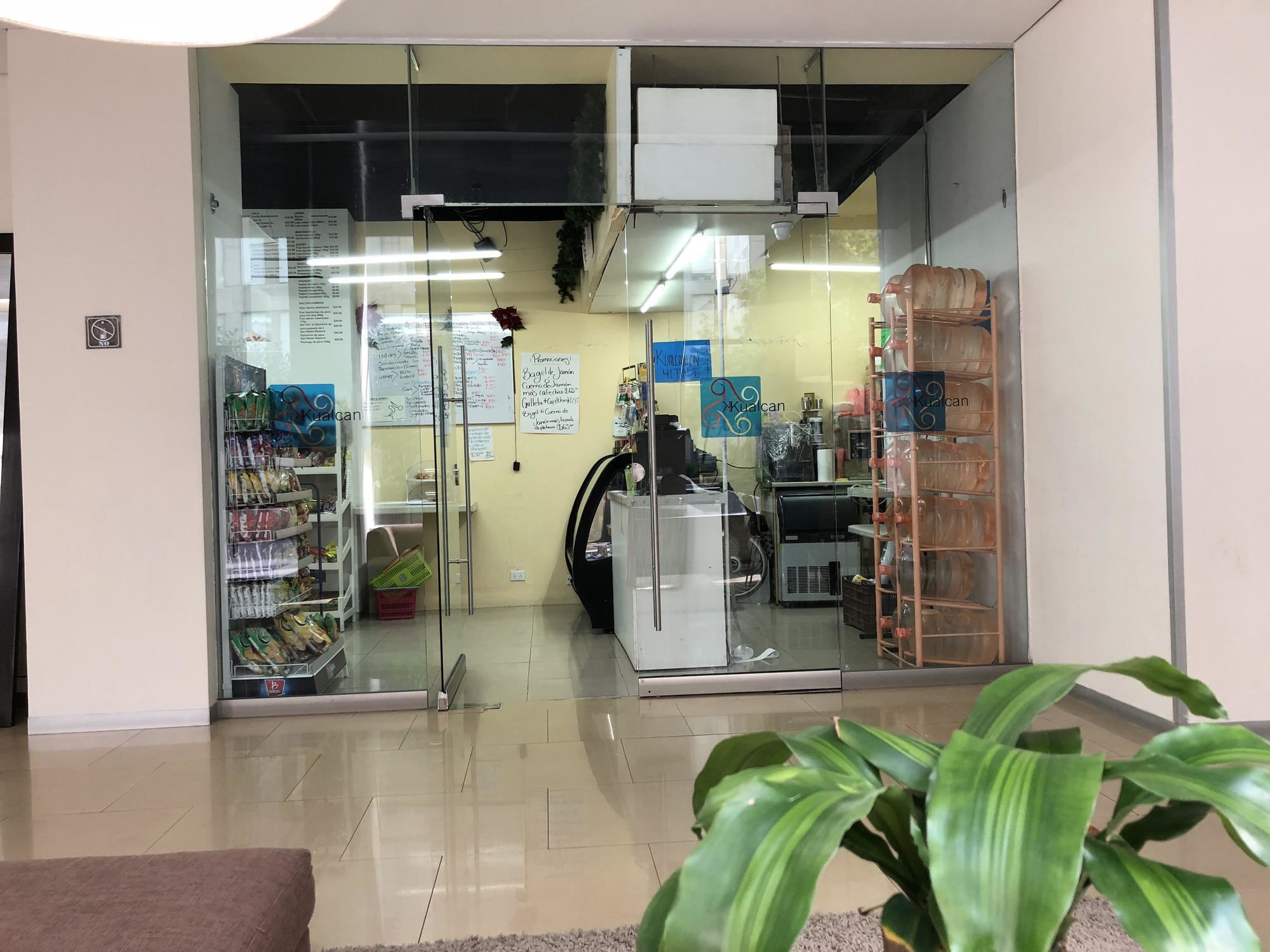 Boutique Apartment Pbk 墨西哥城 外观 照片